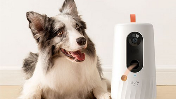 愛犬・愛猫との暮らしを快適にするEufyのおすすめ家電