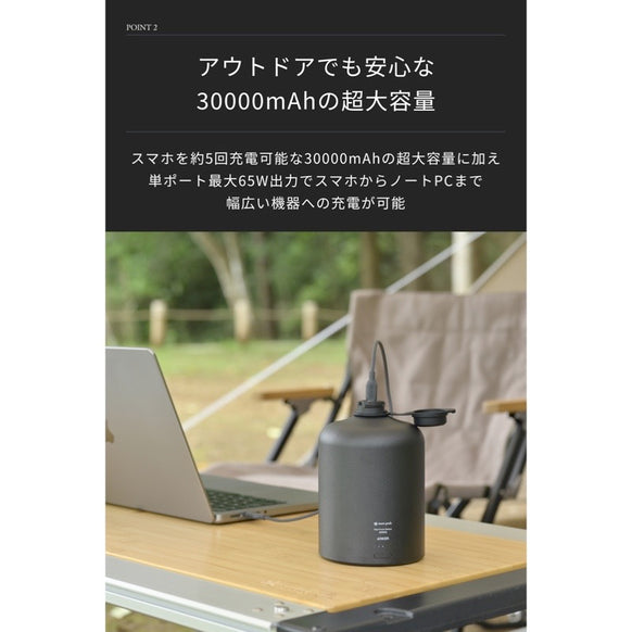 Giga Power Battery 30000