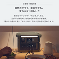 Portable Power Station 1000