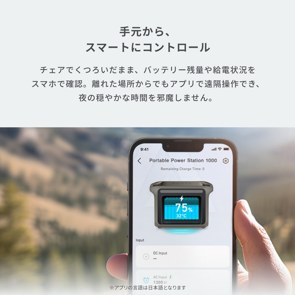 Portable Power Station 1000