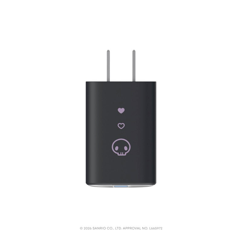 サンリオキャラクターズ 限定デザイン USB急速充電器 47W | USB急速