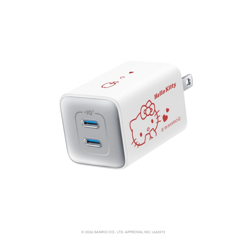 サンリオキャラクターズ 限定デザイン USB急速充電器 47W | USB急速