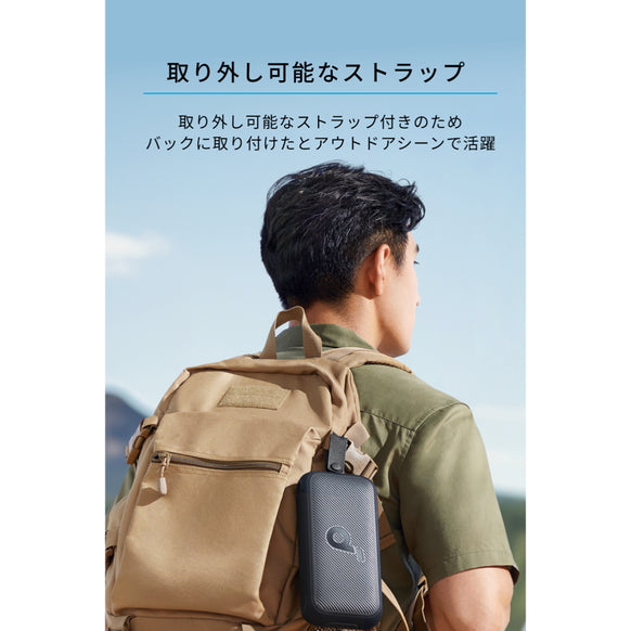 Soundcore Motion 300