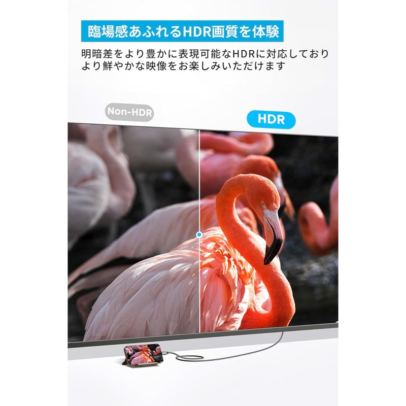 Anker Nano USB-C & HDMI ケーブル (4K, 高耐久ナイロン) | USBC