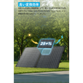 Anker Solix PS100 Dual Portable Solar Panel