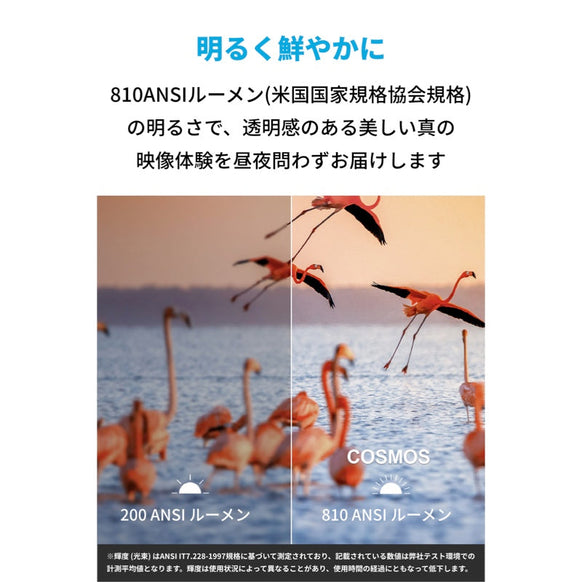 【整備済製品】Nebula Cosmos