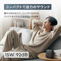 Soundcore Boom Go 3i
