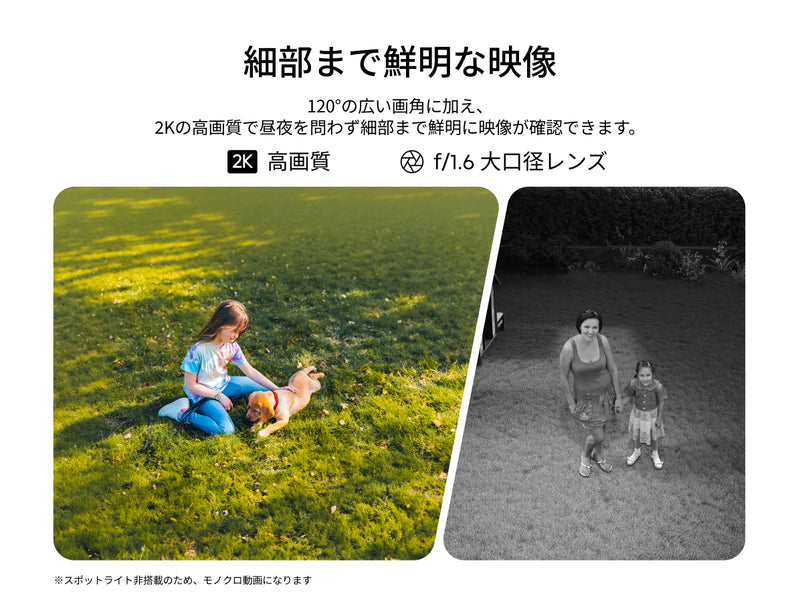 細部まで鮮明な映像