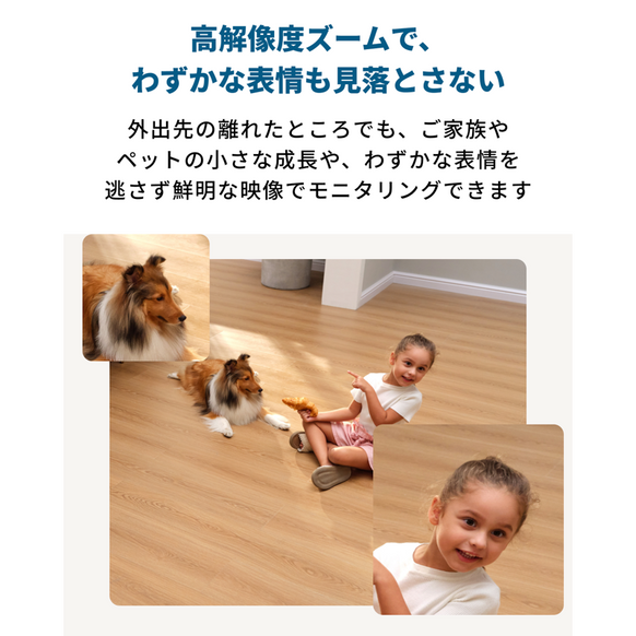 Eufy Security Indoor Cam S350