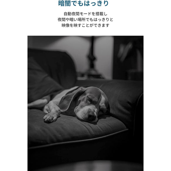 Eufy Indoor Cam C220