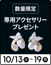 AeroClip 専用アクセサリープレゼント