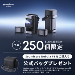 交換用ダストバッグ Eufy RoboVac (抗菌・消臭加工あり L35 Hybrid+