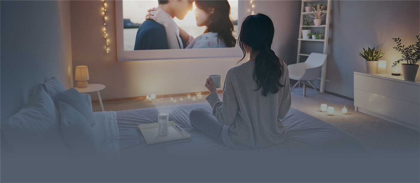 ポータブル電源カテゴリー