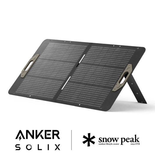 Portable Solar Panel 100