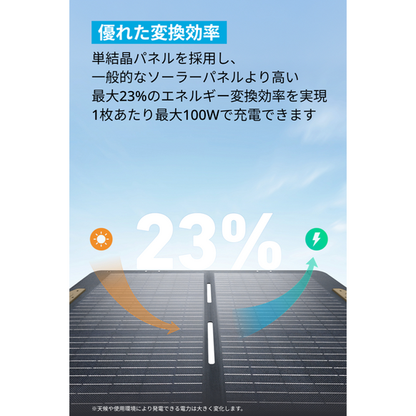 Portable Solar Panel 100