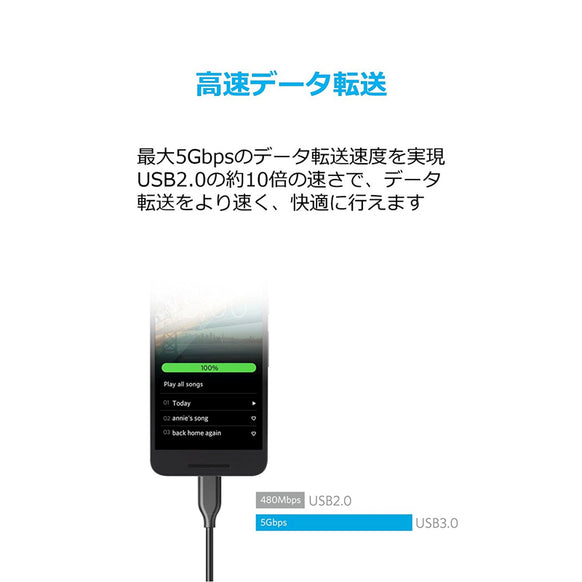 Anker PowerLine USB-C & USB-A ケーブル (USB3.0対応) 3.0m