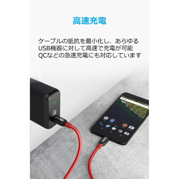 Anker PowerLine+ USB-C & USB-C ケーブル (USB2.0対応) 0.9m