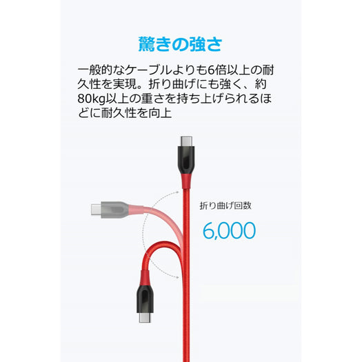Anker PowerLine+ USB-C & USB-A ケーブル (USB2.0対応) 3.0m