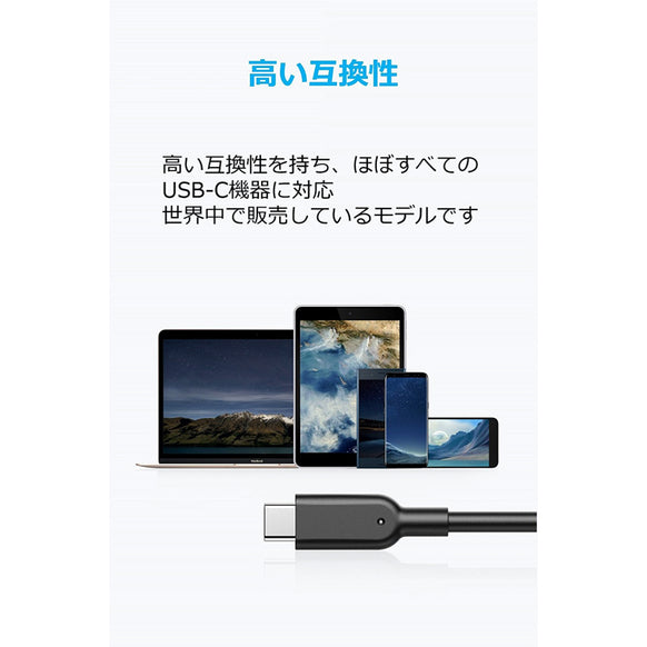 Anker PowerLine II USB-C & USB-A ケーブル (USB3.1 Gen2対応) 0.9m