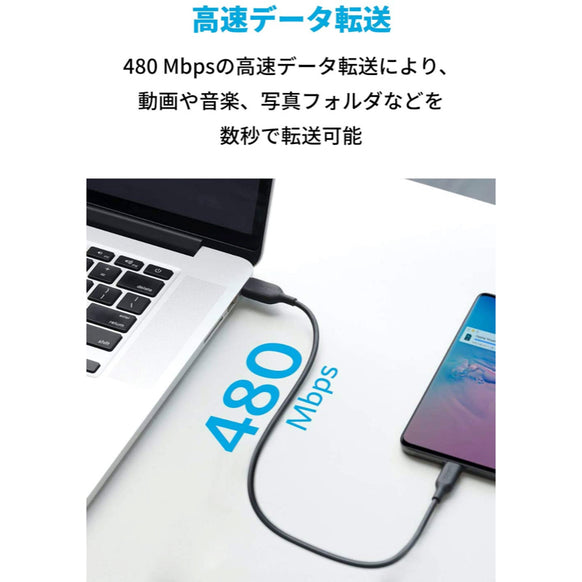 Anker PowerLine III USB-C & USB-C ケーブル (USB2.0対応) 0.3m