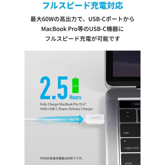 Anker PowerLine III USB-C & USB-C ケーブル (USB2.0対応) 0.9m