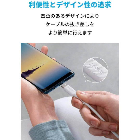 Anker PowerLine III USB-C & USB-C ケーブル (USB2.0対応) 0.9m