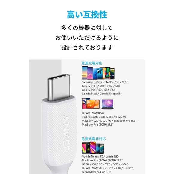 Anker PowerLine III USB-C & USB-C ケーブル (USB2.0対応) 3.0m