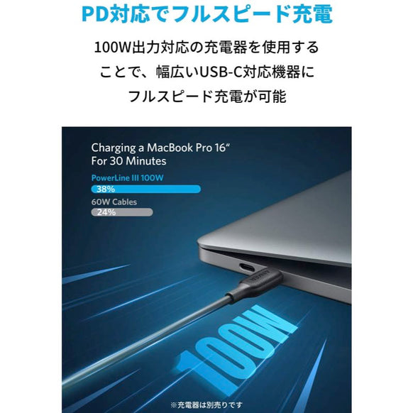 Anker PowerLine III USB-C & USB-C 2.0 100W ケーブル 1.8m