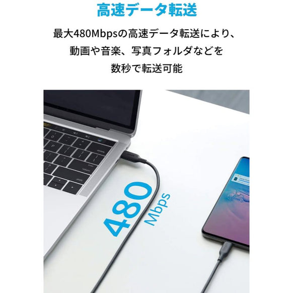 Anker PowerLine III USB-C & USB-C 2.0 100W ケーブル 1.8m