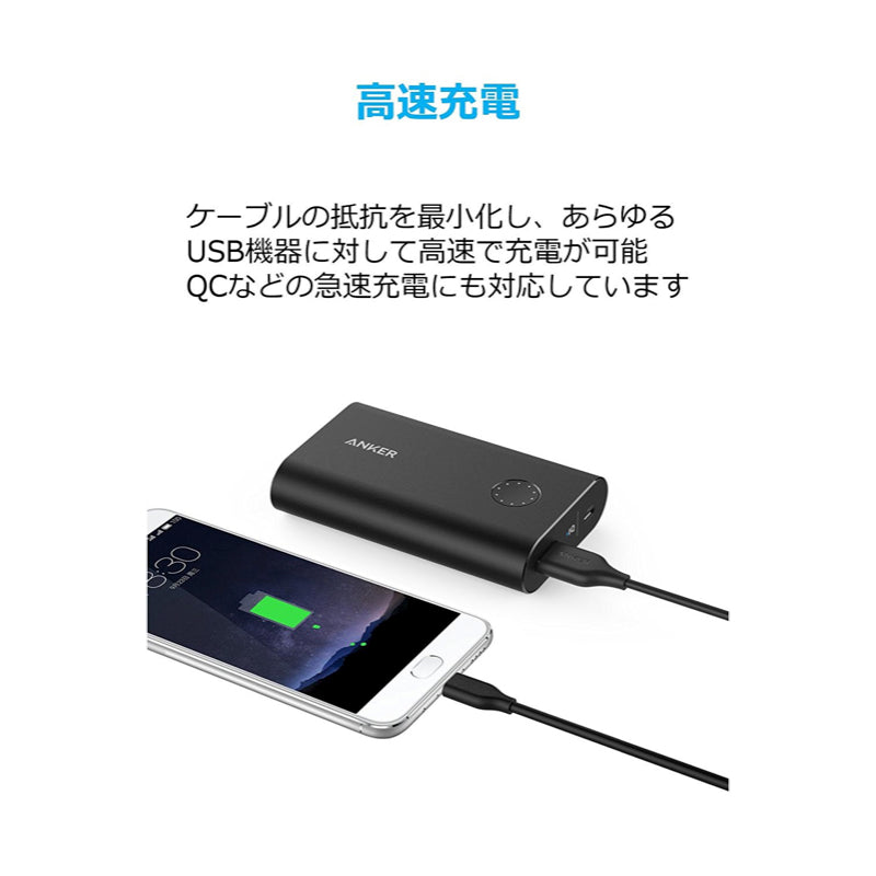 5本セット】PowerLine USB-C & USB-A 3.0 ケーブル｜USB-C ケーブルの