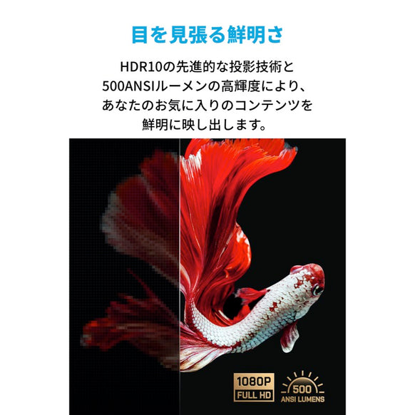 Nebula Vega Portable