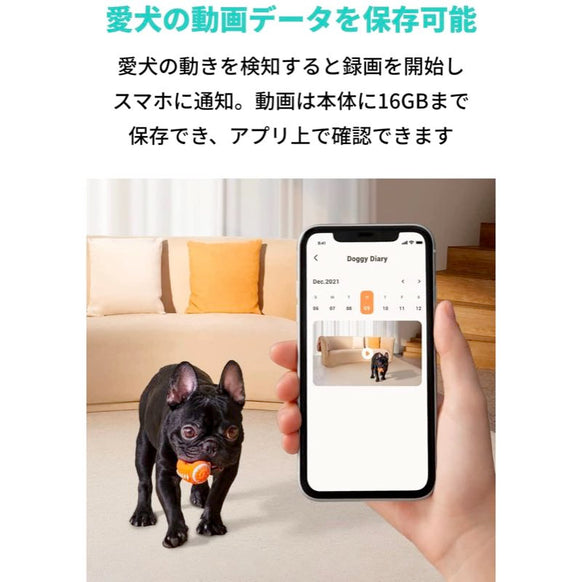 Eufy Dog Camera D605