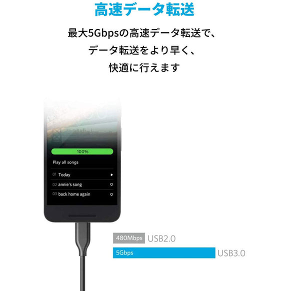 Anker PowerLine USB-C & USB-A ケーブル (USB3.0対応) 1.8m 2本セット